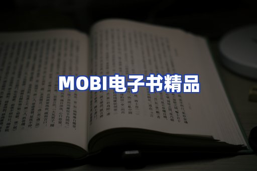 外文电子书产品